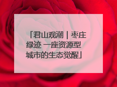 君山观潮｜枣庄绿迹 一座资源型城市的生态觉醒